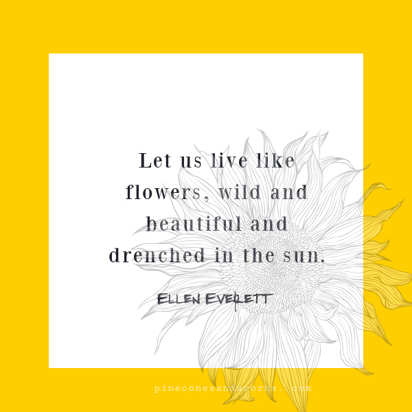 let us live like flowers, wild beautiful and drenched in the sun.