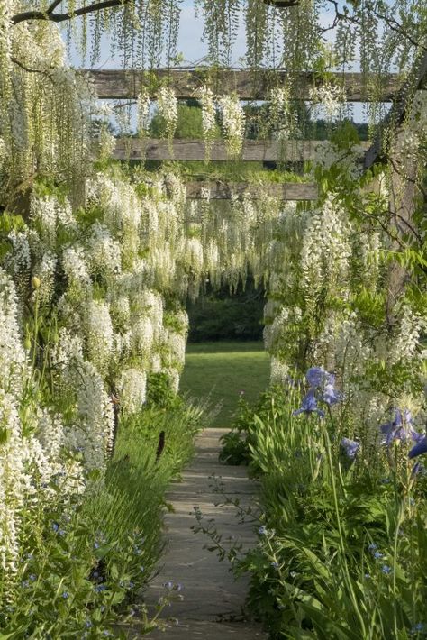 Gardens and wisteria at GRAVETYE MANOR.