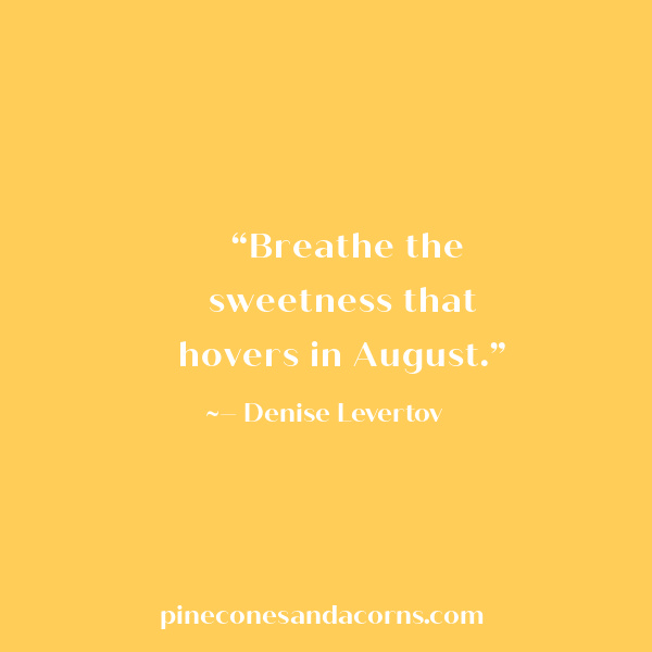 “Breathe the sweetness that hovers in August.” – Denise Levertov