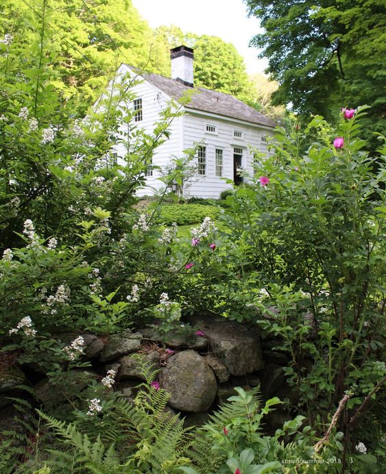 Weekend Meanderings Nora Murphy of Nora Murphy's Country House