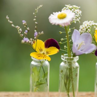 Two small glass vases with flowers.