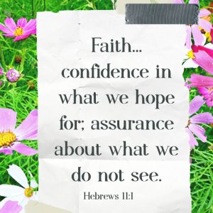 Faith:confidence in what we hope for; assurance about what we do not see." overlay on a field on pink, white and orange cosmos flowers.