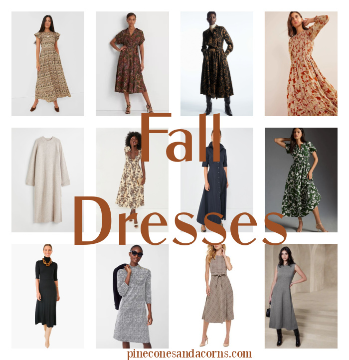 Collage of Fall Dresses. 