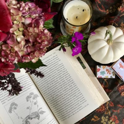 Flatlay of an open book with hydrangea and a white pumpkin, candle and 2 boxes of matches, one has fox heads and the other falling leaves.
