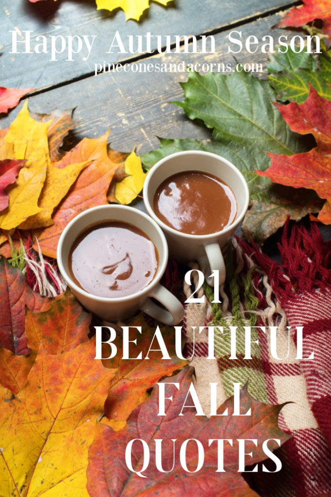 21 beautiful fall quotes