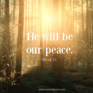Silent Sundays He will be our peace. Micah 5:5.