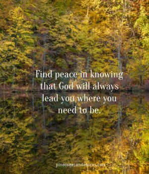 Silent Sunday Find Peace in Knowing that God will always lead you where you need to be.