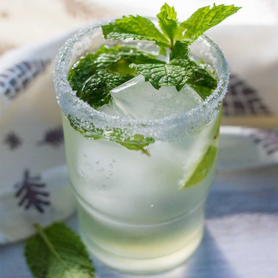 non-alcoholic virgin mojito in a glass with mint. 