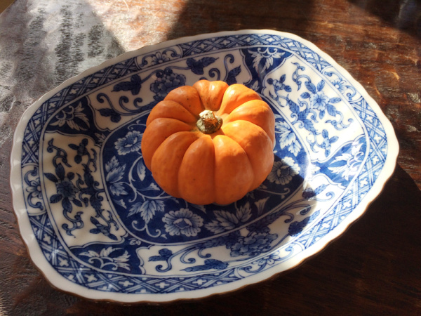 mini orange pumpkin a blue and white chinoiserie bowl.