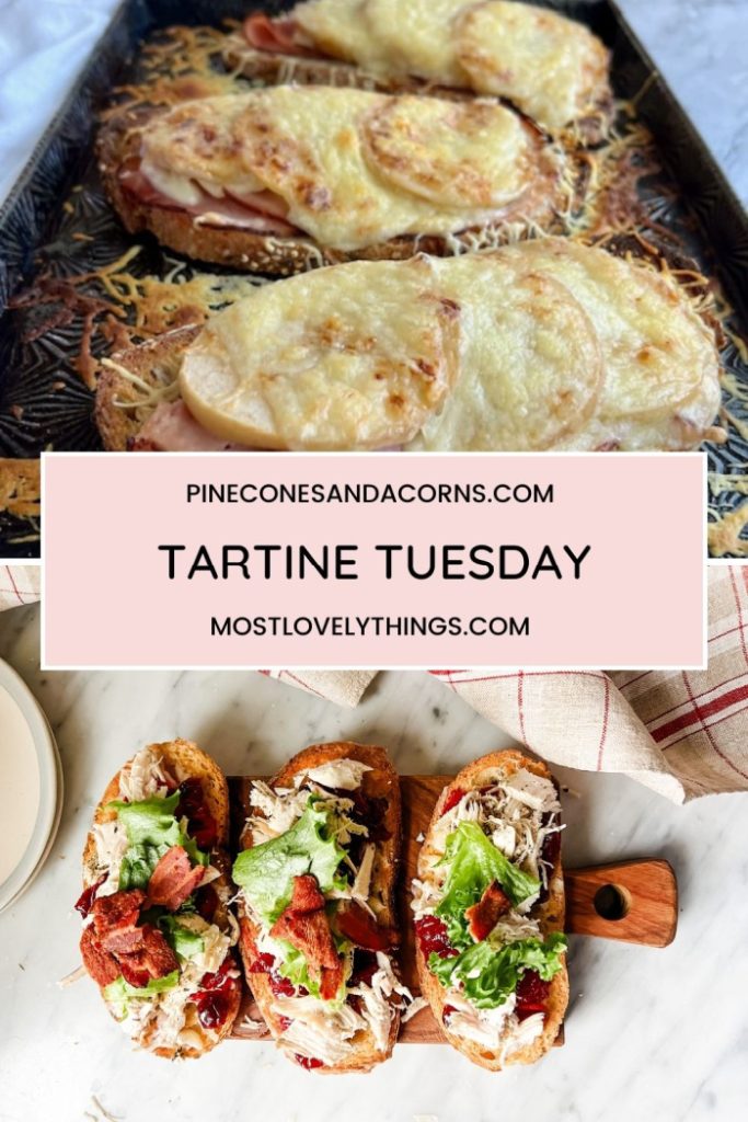 ham, cheese, apple tartine. 