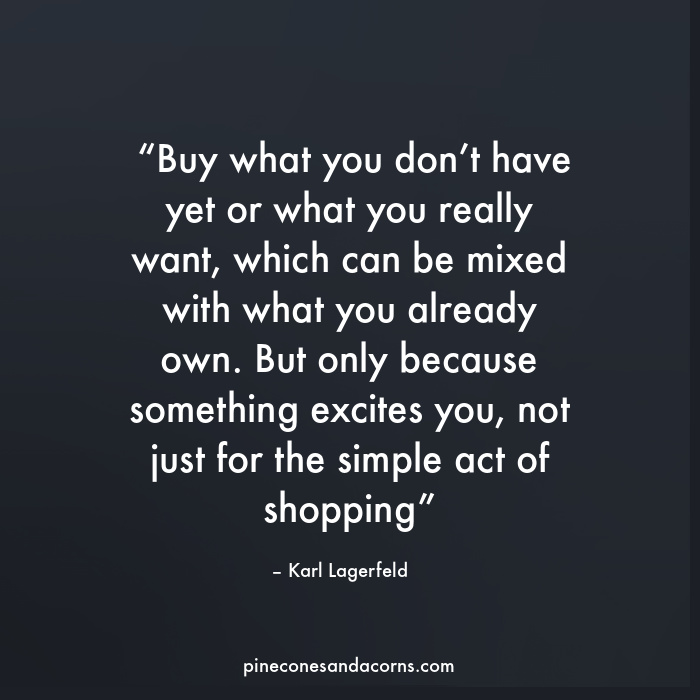  “Buy what you don’t have yet or what you really want, which can be mixed with what you already own. But only because something excites you, not just for the simple act of shopping” – Karl Lagerfeld.