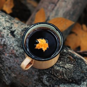 fall leaf in a cup on a log
