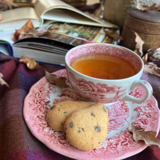 weekend meanderings, cup of tea in a red transfer ware cup and saucer with cookies and books.