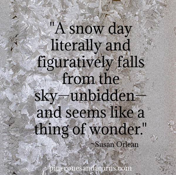 Susan Orlean"A snow day literally and figuratively falls from the sky—unbidden—and seems like a thing of wonder."