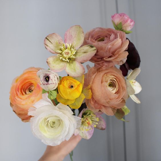 Signe Elisabeth Scharling