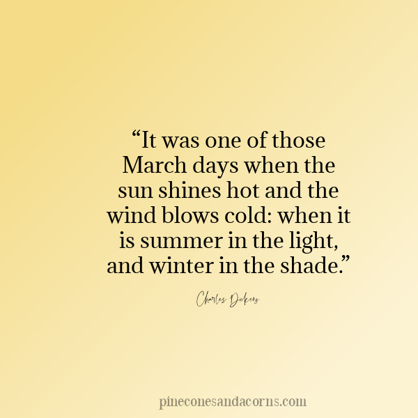 March Quote “It was one of those March days when the sun shines hot and the wind blows cold_ when it is summer in the light, and winter in the shade.” ― Charles Dickens