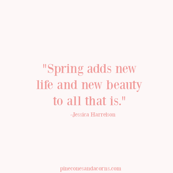 Quote Spring adds new life and new beauty to all that is.