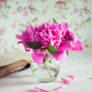 pink peonies in a clear glass vase with a book along the left side.