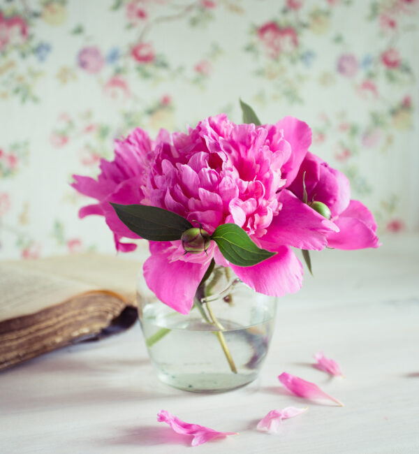 pink peonies in a clear glass vase with a book along the left side.