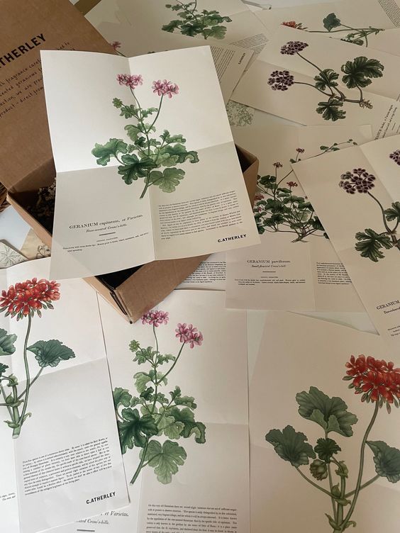 botanical geranium prints. 