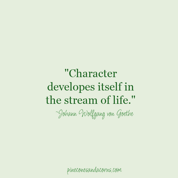 Character developes itself in the stream of life. Johann Wolfgang von Goethe