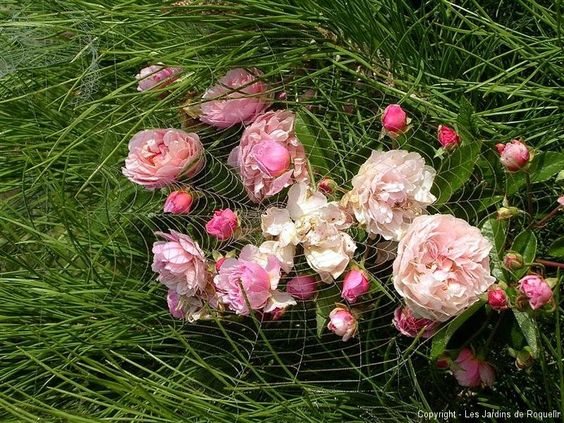 Les Jardins de Roquelin