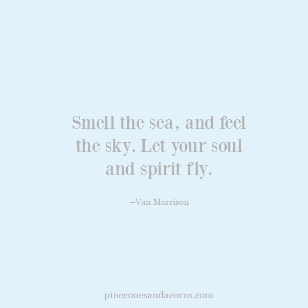 Smell the sea, and feel the sky. Let your soul and spirit fly.–Van Morrison