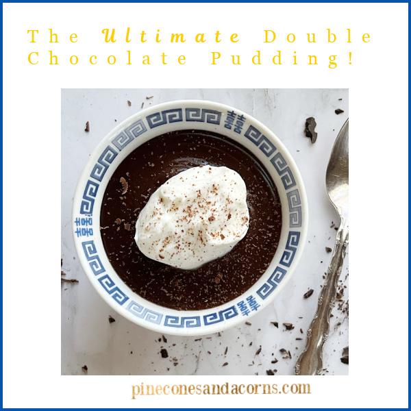 The Ultimate Double Chocolate Pudding recipe. 