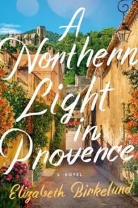 Book cover of a Northern Light in Provence.