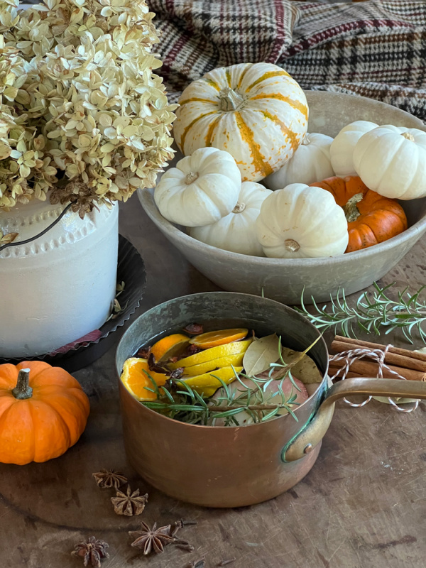 Copper fall simmer pot filled with fresh fruit, herbs and spices.