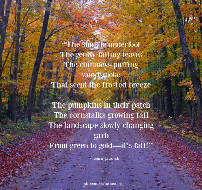 “The shuffle underfoot The gently falling leaves The chimneys puffing woodsmoke That scent the frosted breeze The pumpkins in their patch The cornstalks growing tall The landscape slowly changing garb From green to gold—it’s fall!” Laura Jaworski.