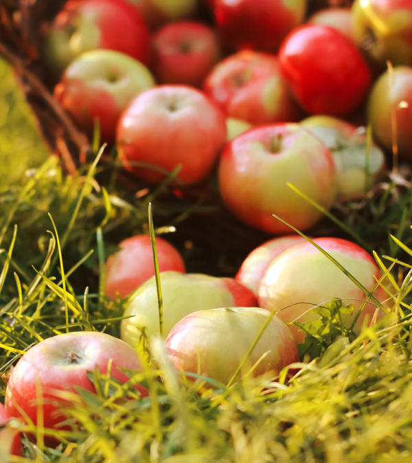 apples-in-a-basket on the ground. 