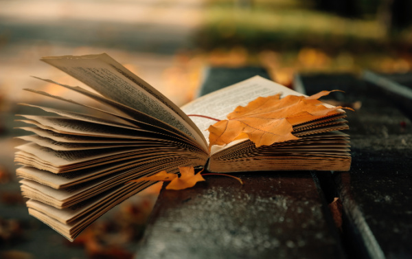 Fall self-care book-and-fall-leaves.