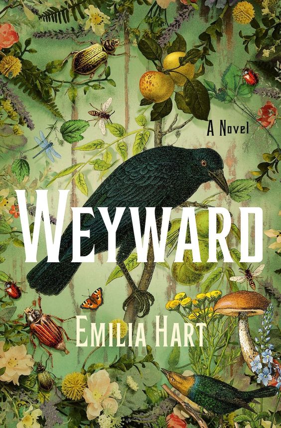 Weyward book cover with a black crow. 