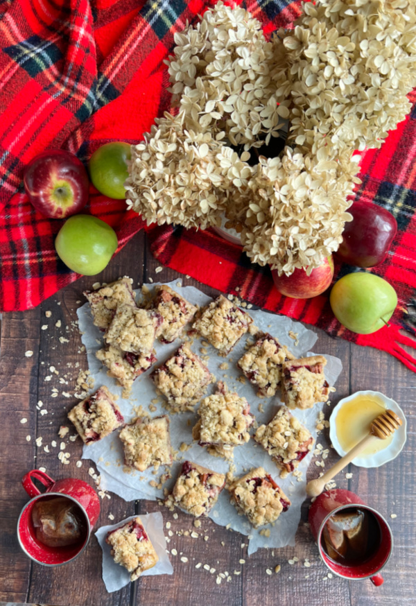 red plaid blanket with dried hydrangeas , apples and cranberry bars sliced.