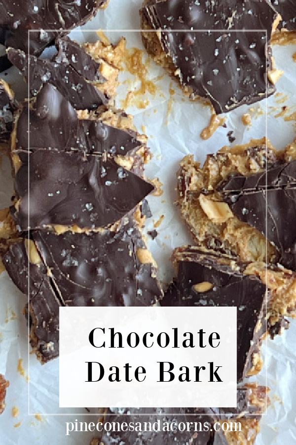 Chocolate Date Bark Pin
