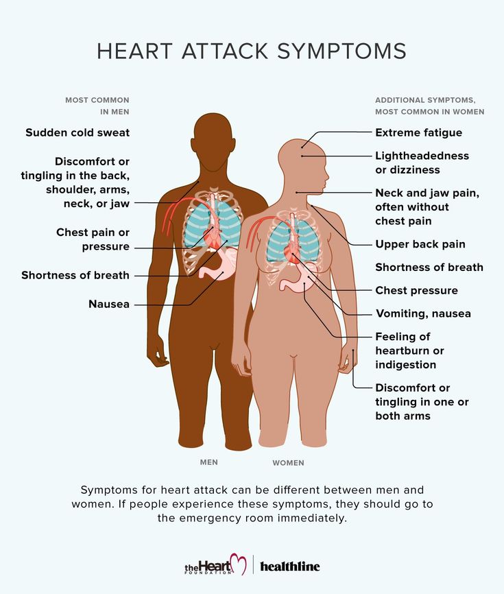 The Heart Foundation Symptoms of Heart Attack in Men and Women Medical illustration by Bailey Mariner.