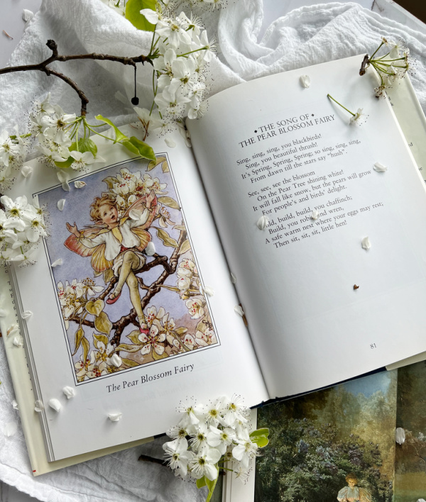 The Flower Fairies of Spring Cicely Mary Barker