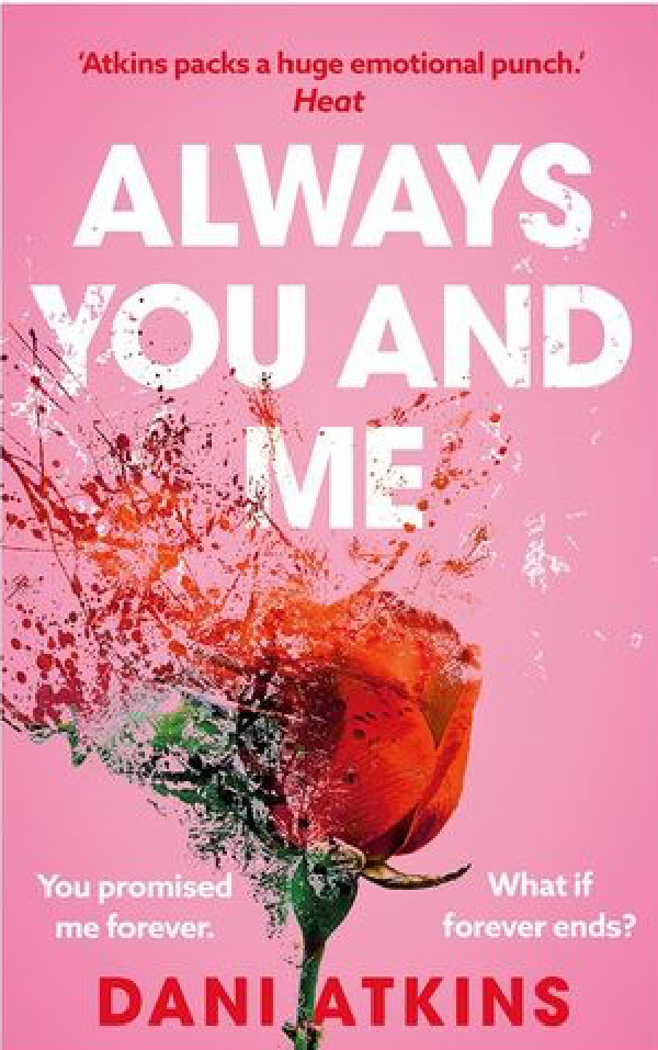 you and me always book cover with a shattered rose.