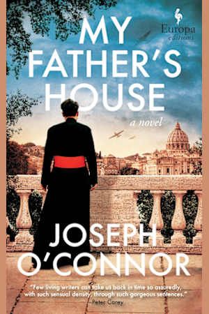 Book cover of a cardinal standing with his back t0 the viewer on a balcony. 