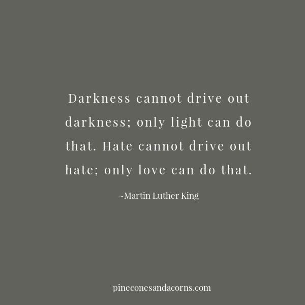 Darkness cannot drive out darkness; only light can do that. Hate cannot drive out hate; only love can do that.