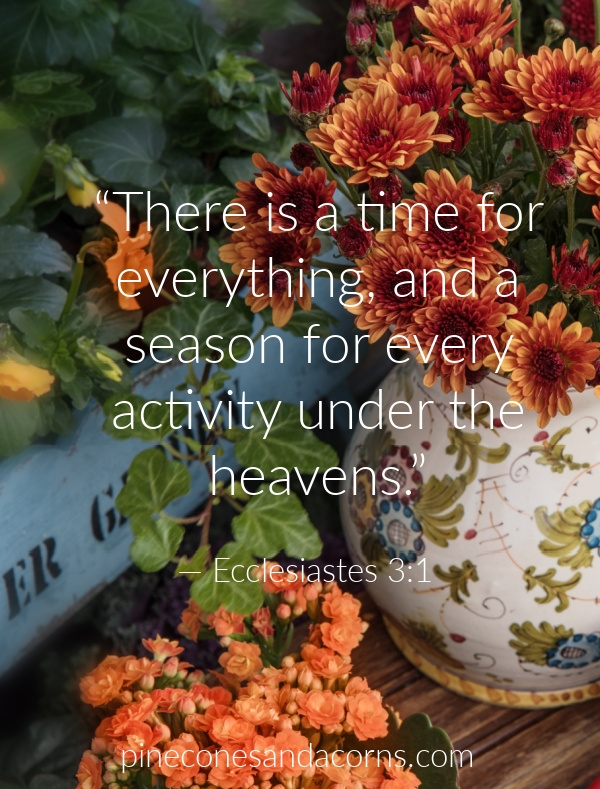 “There is a time for everything, and a season for every activity under the heavens.”— Ecclesiastes 3_1