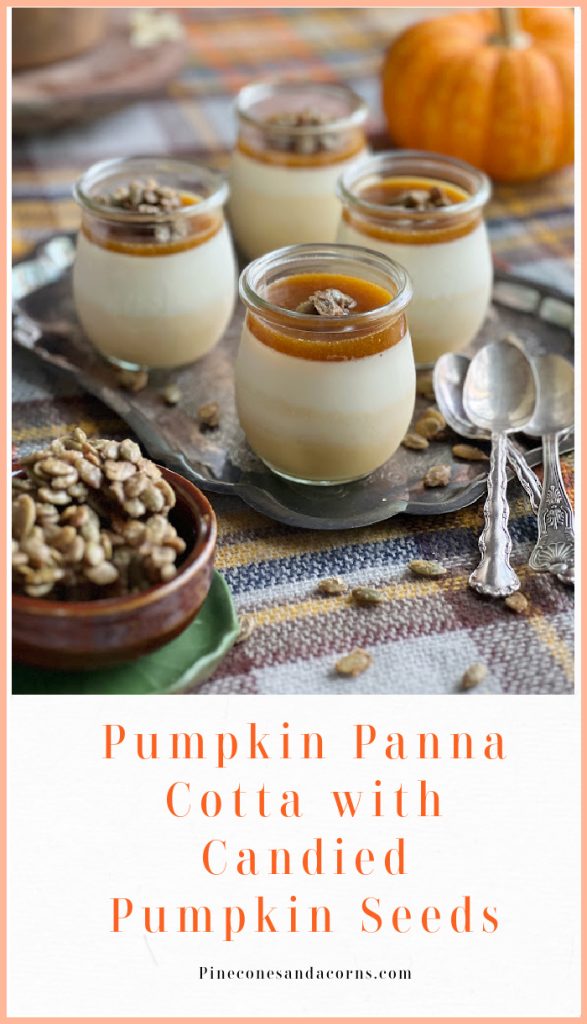 pumpkin panna cotta with candied pumpkin seeds Pinterest pin.