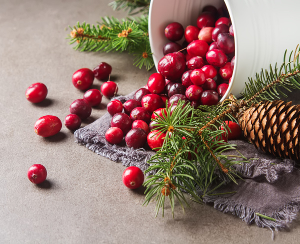 cranberries on a white bowl with sprigs of pine and a pinecone.