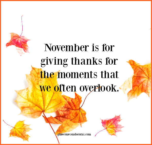 November is for giving thanks for the moments that we often overlook.