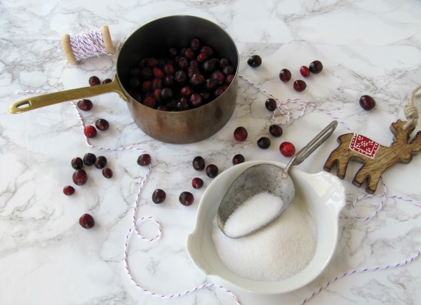 cranberries-in-copper-pot-bowl-of-sugar.