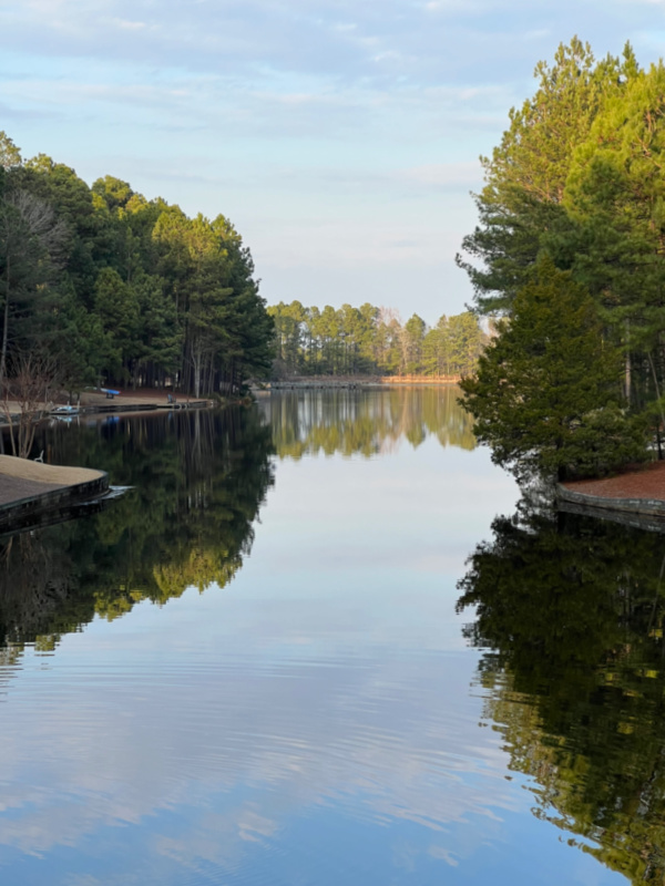 reflections on the lake