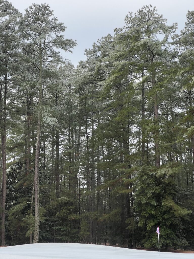 Wuthering Heights, Holy Days, Jodie Foster, A Private Life, Photographer Don Mc Cullin and more on Weekend Meanderings. 