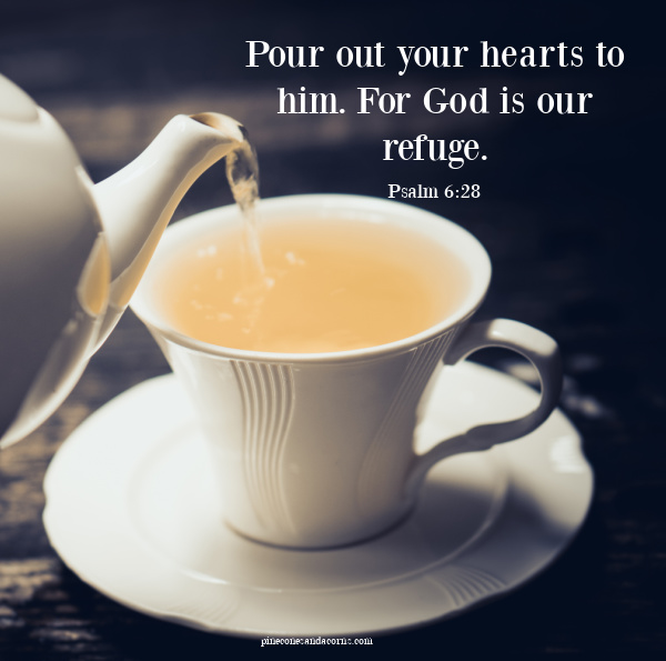 Pour out your hearts to him. For God is our refuge. Psalm 6_28 Pinecones and Acorns