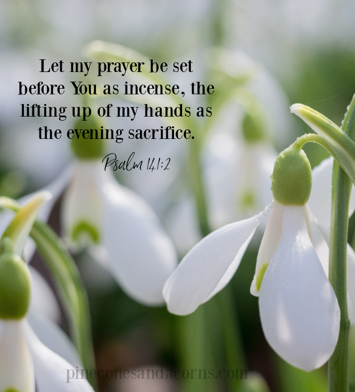 Let my prayer be set before You as incense, the lifting up of my hands as the evening sacrifice. Psalms 141:2 Silent Sunday overlay on snowdrops.